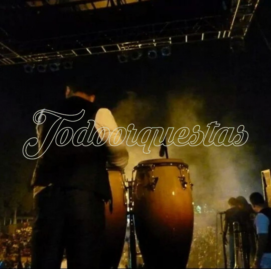 Se ofrece Baterista/Percusionista/Bajista profesional.