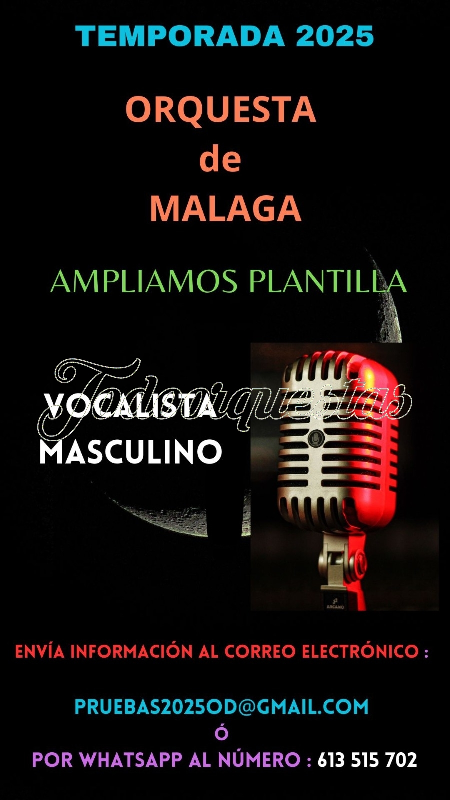 ORQUESTA (de Málaga ) AMPLIA PLANTILLA-     VOCALISTA MASCULINO  2025